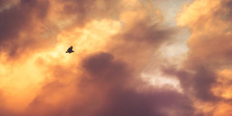 天津支付98：打造本地化金融服务新生态，赋能天津经济高质量发展