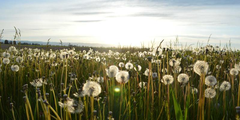 天津支付平台生物识别技术应用与隐私边界：金融科技下的平衡之道