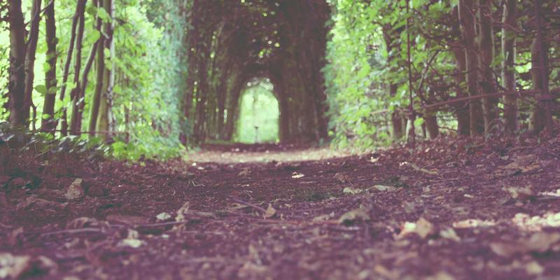 天津智慧停车无感支付与路侧泊位动态定价机制：金融科技重塑城市出行体验