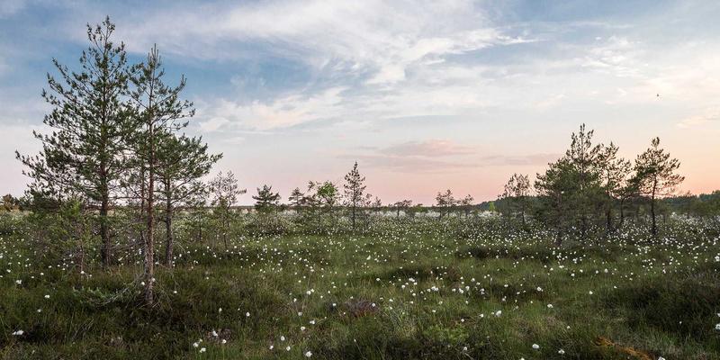 天津跨境电商支付结算新规深度解读：合规路径与本地化支付解决方案全攻略