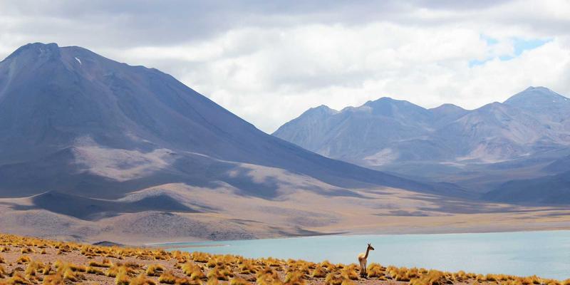 天津金融新篇章：一站式支付解决方案如何重塑公共事业缴费体验