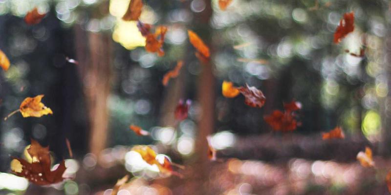 天津金融服务平台支付安全演进：生物识别与物联网支付风险防控解决方案